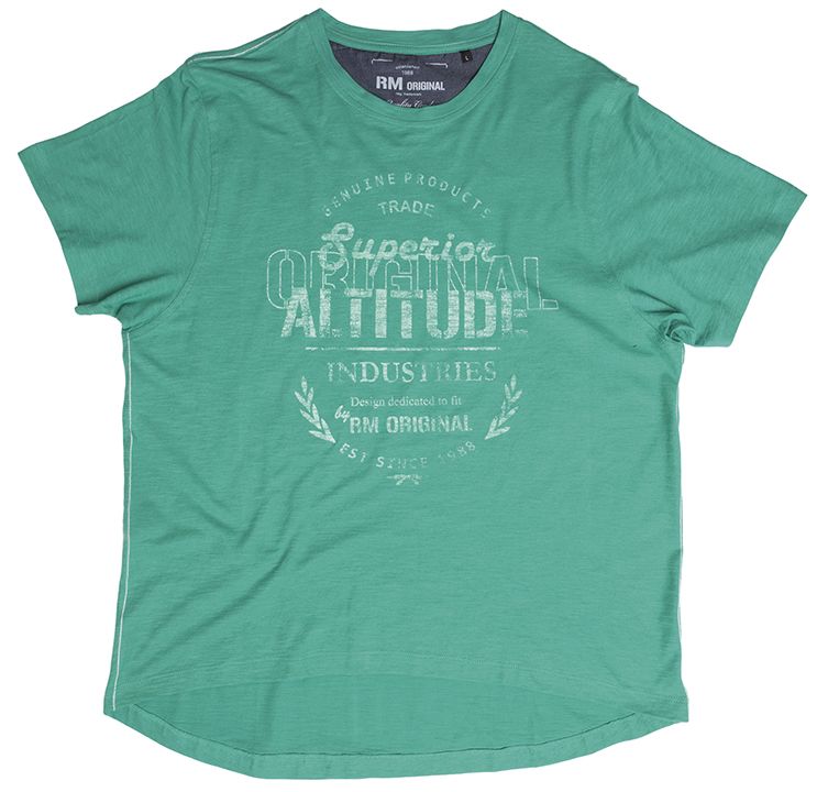 Men's T-Shirt printed, green 30034