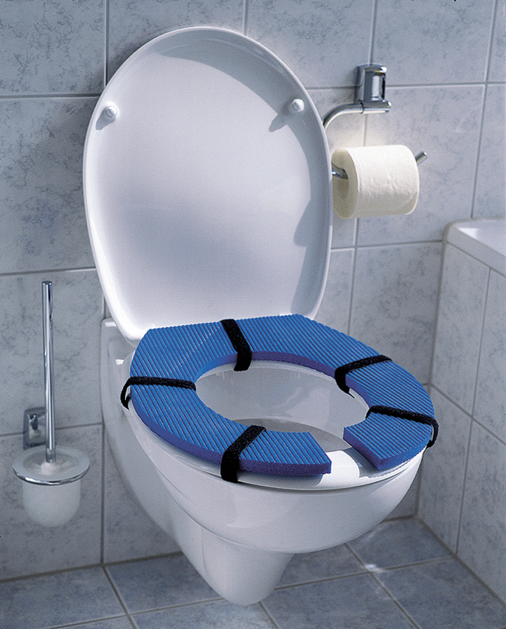 Toilet seat, blue 5739